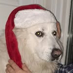 Bill Westbrook - @westbrook9060 - Instagram