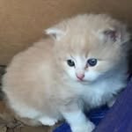 Bill Westbrook - @westbrook4457 - Instagram