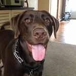 Bill Willie - @westbygodbillwillie - Instagram