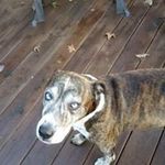 Bill Wetherington - @billwetherington - Instagram