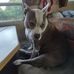 William Wetherington - Facebook