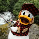 Bill Wharton - @bcwharton - Instagram