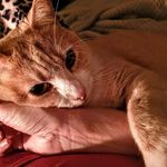 Bill Wharton - @billwharton47 - Instagram