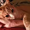 Bill Wharton - @bill.wharton5 - TikTok