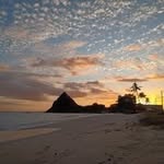 William Wheelehan - @williamwheelehan - Instagram