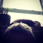 Bill Whetsel - @billwhetsel - Instagram