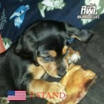 Bill Whipkey - Facebook
