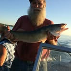 Bill Whipkey - Facebook