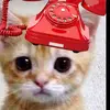 billwhitehead33 - @billwhitehead33 - TikTok