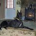William Whitley - Facebook