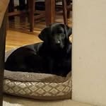 Bill Whitson - @whitson.bill - Instagram