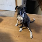 Bill Whittaker - Facebook