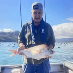 Bill Whittaker - Facebook