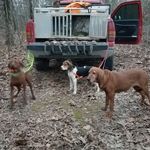 Bill Whitten - @whitten_bill - Instagram