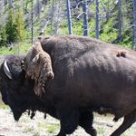 Bill Whitten - @whitten.bill - Instagram