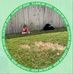 Bill Wickersham - Facebook