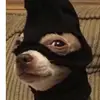 Bill Wicks - @bill.wicks - TikTok