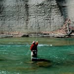 Bill Widdoes - @billwiththehat - Instagram