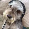 Billy Widen - @billywiden_4806 - TikTok