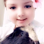 ❤️Bill,Ted,Chip,Wilber - @bill.ted.piggies - Instagram