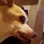 Bill Wilbur - @assertivenarwhal - Instagram