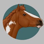Will & Wilbur - @officialwilburpony - Instagram