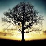 Bill Wilde - @bill_wilde - Instagram