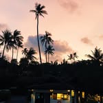 Cybill Williford - @cybillwilliford - Instagram
