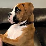 Bill Wisdom - @billwisdom001 - Instagram