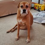 Bill Wise - @billwisesc - Instagram
