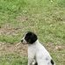 Bill Wise - Facebook