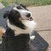 Bill Wray - Facebook