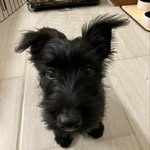 Bill Wright - @billwright6523 - Instagram