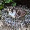 Bill Wyatt - @bill.wyatt7 - TikTok