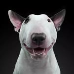 Bill Xu - @bg6bwa - Instagram