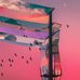 Bill Xu - Facebook