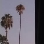 Bill xu - @billxu127 - Instagram