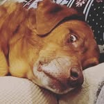 Bill Yarbrough - @new_jackson_city - Instagram
