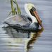 Bill Yarbrough - Facebook