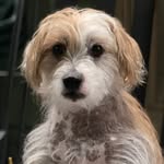 Bill Yeager - @bill.yeager.54 - Instagram