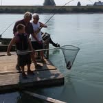 Bill Yeager - @pitboss.bill - Instagram
