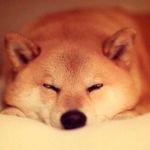 Bill ZHAO - @billzhao5200 - Instagram