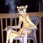 Billy Beaver - @beaver2847 - Instagram