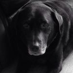 Billy Chadwick - @billbochadwick64 - Instagram