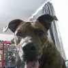 Bill Conrad - @billconrad - TikTok