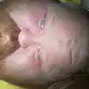 Billy Farris - @billyfarris - TikTok