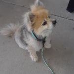 bobie - @billie.hatchett - Instagram