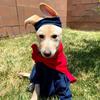Billie Maxipup Hilliard - @billiemaxipuphilliard - TikTok