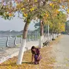 Billie may Armstrong - @may.zin5343 - TikTok