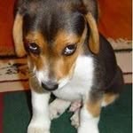 Billy Mobley - @mobleybilly - Instagram